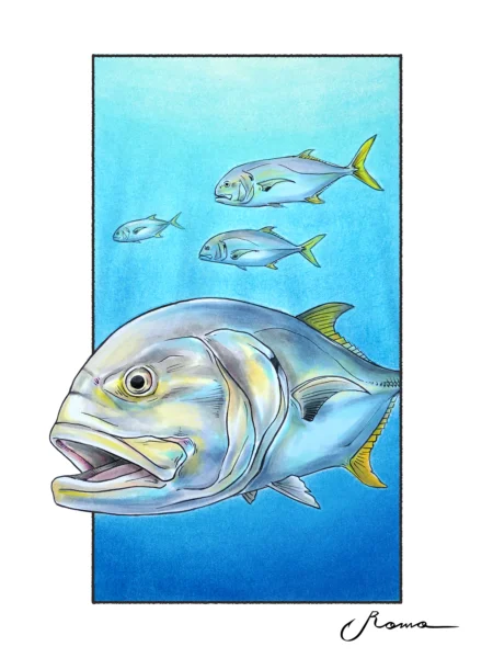 Crevalle Jack - Giclee Prints