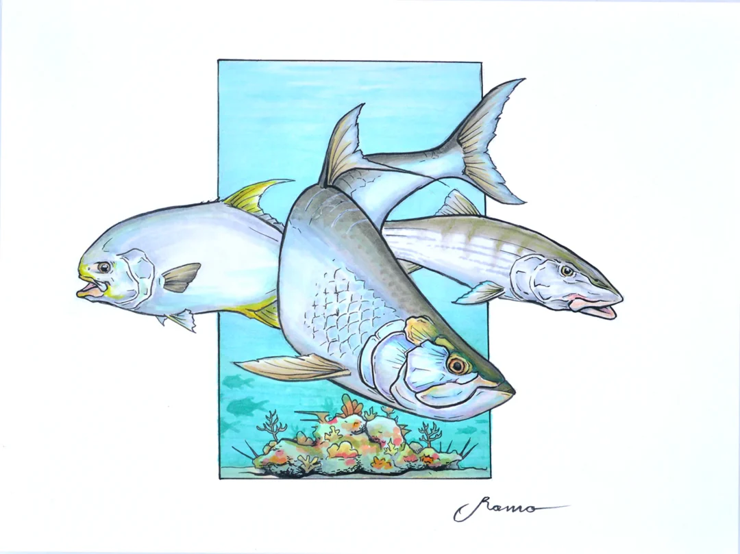 Florida Keys Slam - Original Drawing