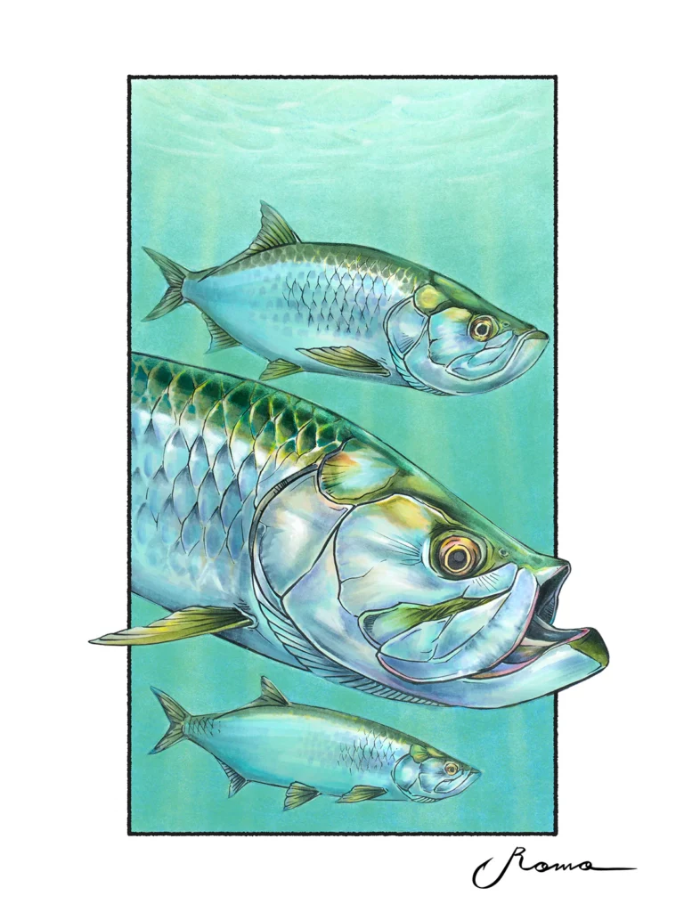 Tarpon