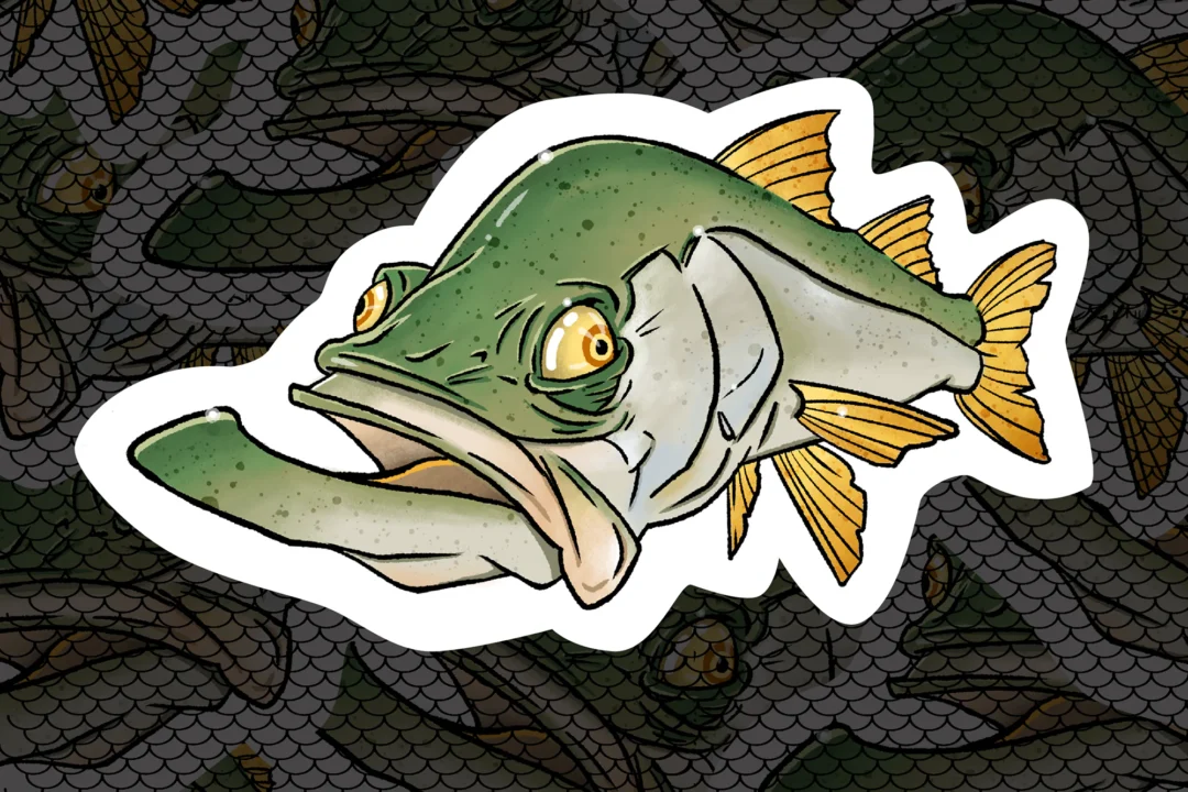 Dazed Snook Decal