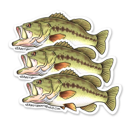 Largemouth Bass Stickers