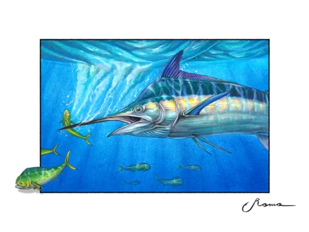 Blue Marlin Chasing Dorado - Giclee Prints