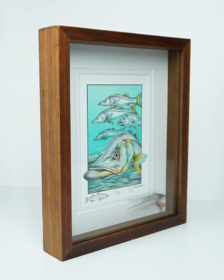 Limited Edition Shadowbox with snook print and hand-tied fly 1of 20
