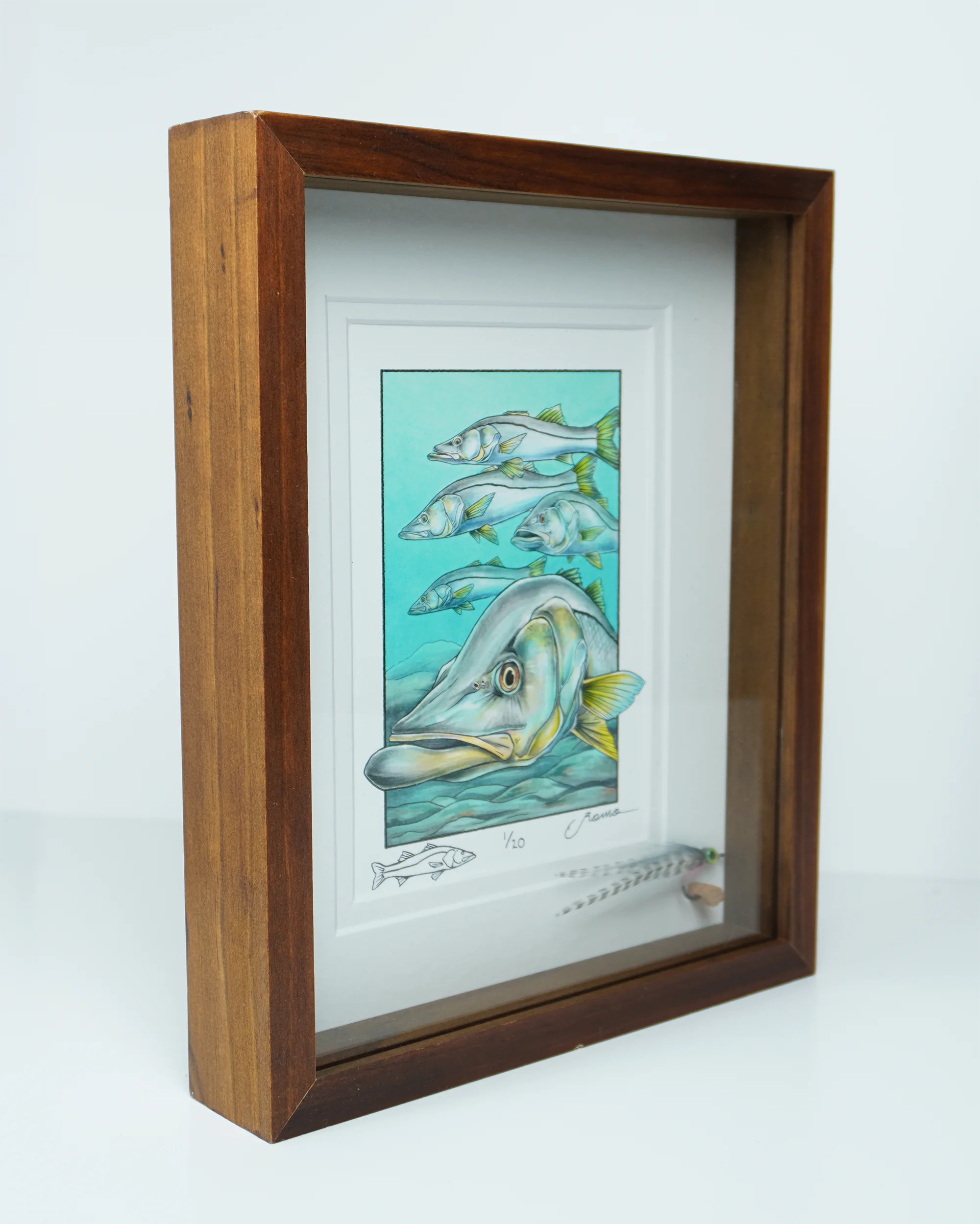 Limited Edition Shadowbox with snook print and hand-tied fly 1of 20