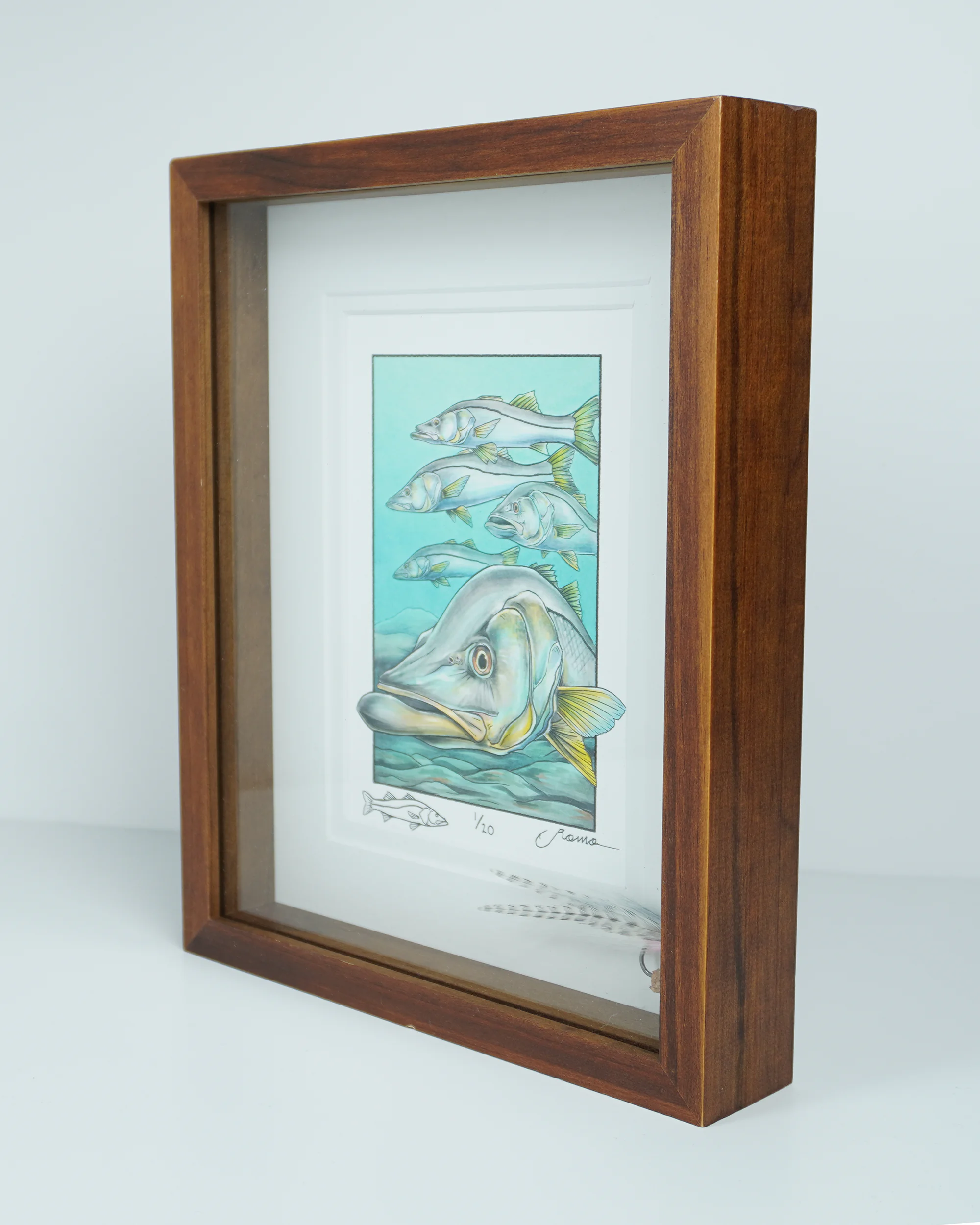 Limited Edition Shadowbox with snook print and hand-tied fly 1of 20 - Image 4
